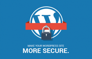 امنیت در Wordpress